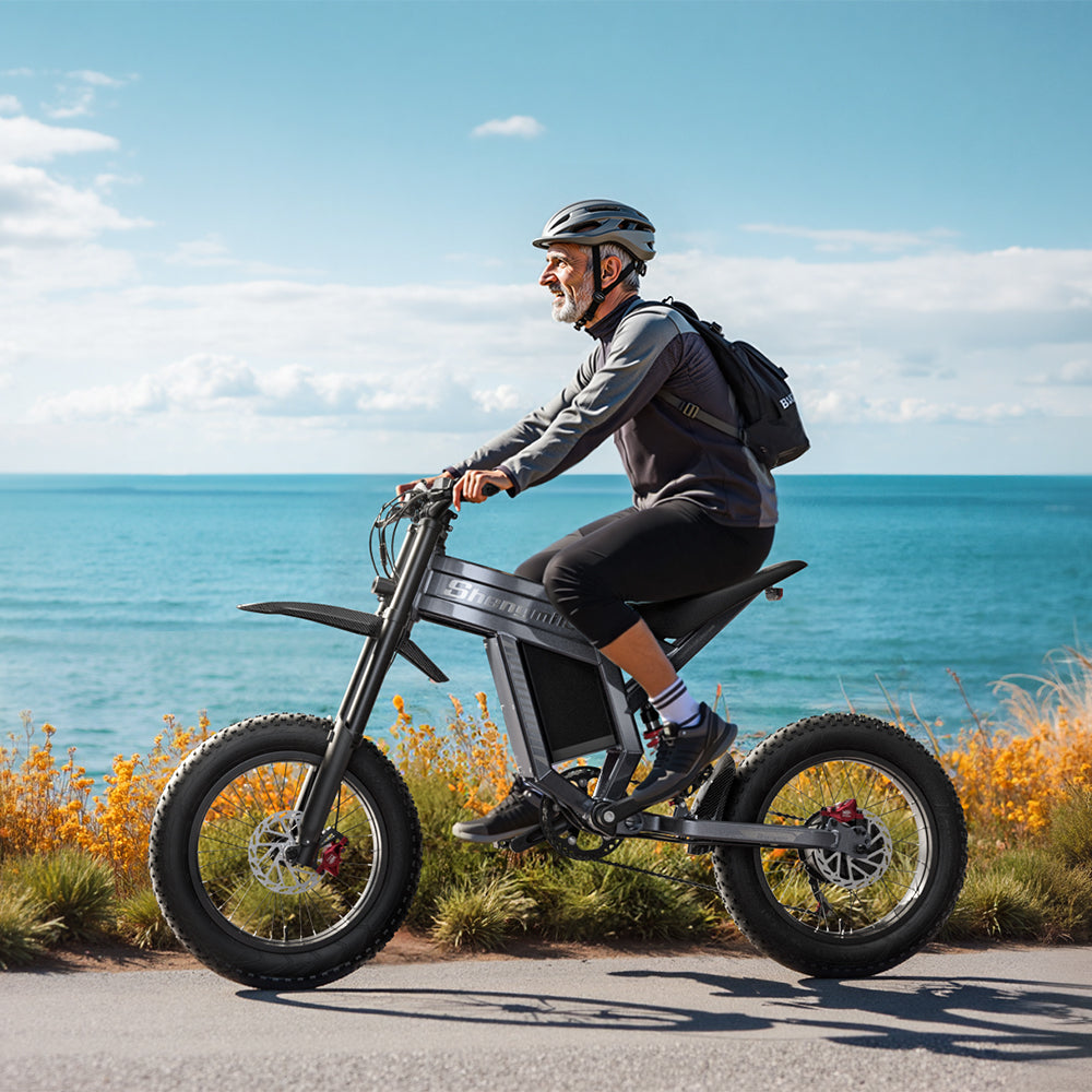 20" Fat tire Electric Bike 1500W 60V 30AH Mountainbike E-bike e-Motorcycle 65km