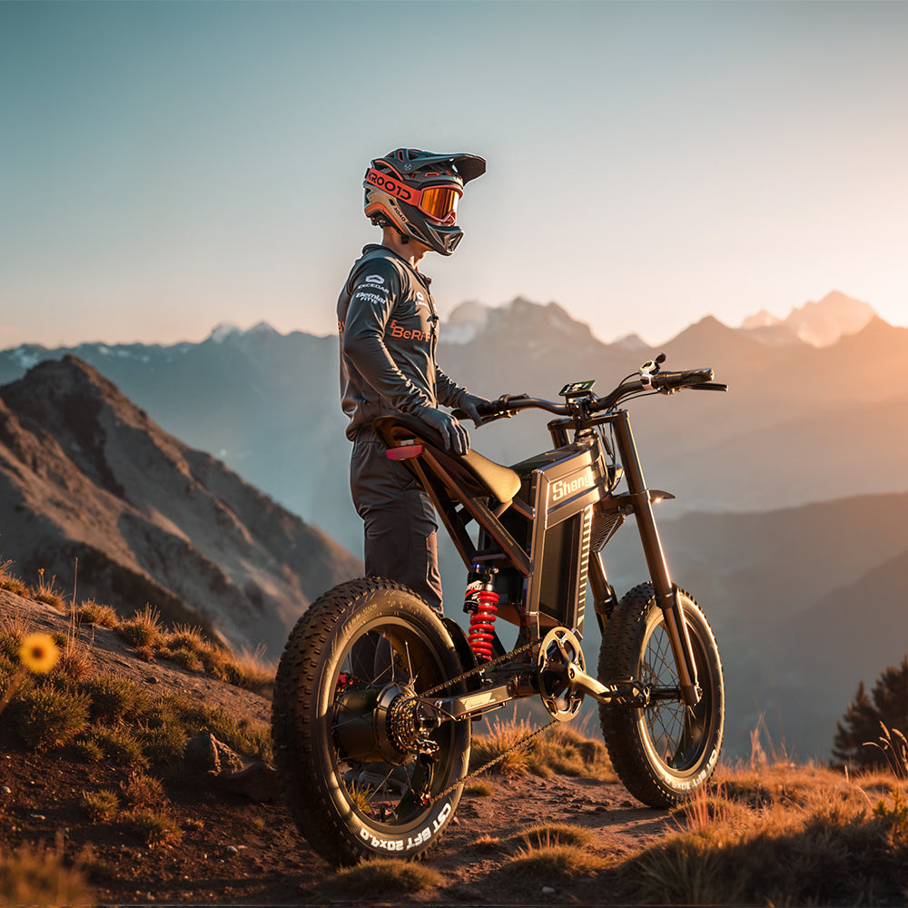 20" Fat tire Electric Bike 1500W 60V 30AH Mountainbike E-bike e-Motorcycle 65km