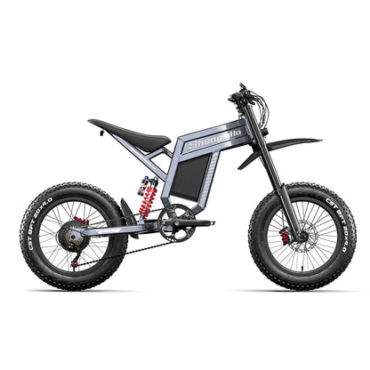 20" Fat tire Electric Bike 1500W 60V 30AH Mountainbike E-bike e-Motorcycle 65km