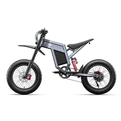 20" Fat tire Electric Bike 1500W 60V 30AH Mountainbike E-bike e-Motorcycle 65km