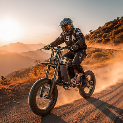 20" Fat tire Electric Bike 1500W 60V 30AH Mountainbike E-bike e-Motorcycle 65km