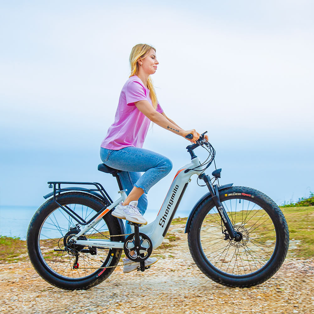 26-inch electric bike E-mountain bike Pedelec 48V 17.5AH battery City ebike Oil brake