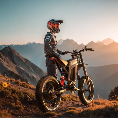 20" Fat tire Electric Bike 1500W 60V 30AH Mountainbike E-bike e-Motorcycle 65km